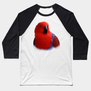 Beautiful Lady in Red Eclectus Parrot Baseball T-Shirt